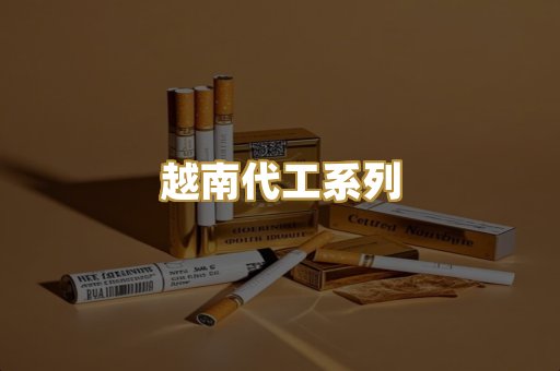 越南代工系列
